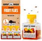 Super Ninja Fruit Fly Trap - 4 pack, Highly Effective Fruit Fly Killer for Home & Kitchen