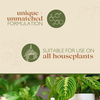 Baby Bio Houseplant Bug Killer Ultra - Fast-Acting Bug Killer Spray