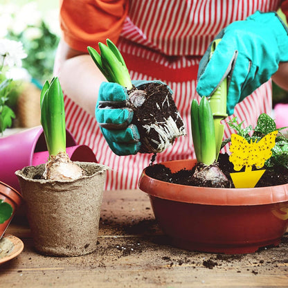 Blooven 30 PCS Fruit Fly Traps, Double-sided Fungus Gnat Sticky Catcher For Multiple Insects (30 PCS Yellow)