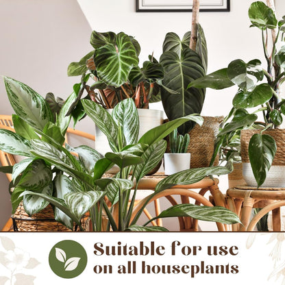 Baby Bio Houseplant Bug Killer Ultra - Fast-Acting Bug Killer Spray